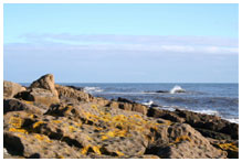 rocky beach