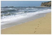 Footsteps in sand on a beach