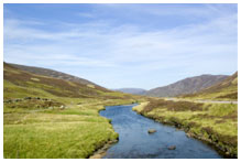 A river through a glen