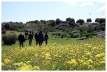 A group of people walking in a field