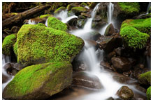 A waterfall between rocks