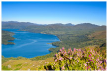 Looking down on a loch with heather in the foreground and hills in the background